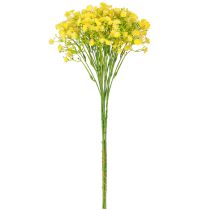 položky Gypsophila paniculate sadrovca bylina žlté kvety L46cm 4 ks