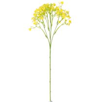 položky Gypsophila paniculate sadrovca bylina žlté kvety L46cm 4 ks