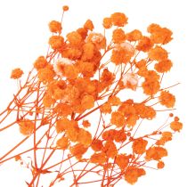 položky Kytica sušených kvetov Gypsophila s dychom pre bábätká 75 cm 100 g