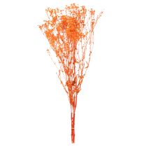 položky Kytica sušených kvetov Gypsophila s dychom pre bábätká 75 cm 100 g