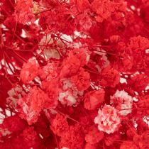 položky Sušený zväzok gypsofily (baby's breath) 75 cm 100 g