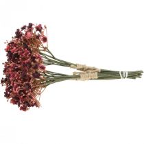 položky Gypsophila umelé červené umelé kvety jesenné 29,5cm 18ks