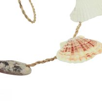 položky Závesná dekorácia dekorácia morská mušľa prírodná 110cm Ø5–10cm