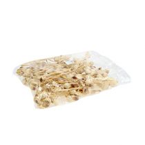 položky Hakea stredná 5-9 hláv na vetvu bielená 25 ks