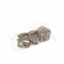 položky Trblietavé srdce na zavesenie šampanského 6cm x 6,5cm 12 ks