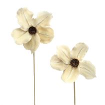 položky Drevený kvet ako zátka, bielený Ø9-12cm L45cm 15ks