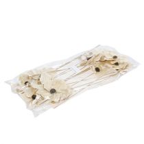 položky Drevený kvet ako zátka, bielený Ø9-12cm L45cm 15 kusov