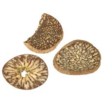 položky Drevené plátky, ozdobné plody stromov, prírodné, DIY, FSC, 1-3,5 cm, 300 g