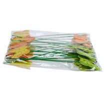 položky Drevené motýliky na paličke v 3 farbách, 8cm, 24 kusov