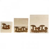 položky Rastlinné kocky, kvetinový box, jesenná dekorácia s patinou 20/16/12 cm sada 3 ks