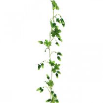 položky Chmeľová girlanda, záhradná dekorácia, umelá rastlina, letná 185cm zelená