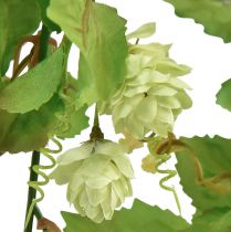 položky Listová girlanda chmeľová girlanda zelená umelá L180cm