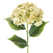 položky Umelý kvet hortenzie s dlhou stonkou a listami, 60 cm