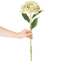 položky Umelý kvet hortenzie s dlhou stonkou a listami, 60 cm