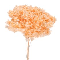 položky Kytica sušených kvetov hortenzie pre elegantnú kvetinovú výzdobu doma, 65 cm