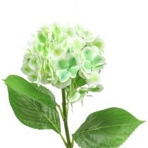 položky Hortenzia umelá zelená, biela 68cm