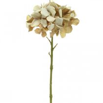 položky Hortenzia umelý kvet hnedý, biela jesenná dekorácia hodvábny kvet V32cm