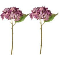 položky Umelé hortenzie Fialové umelé kvety Hortenzia 34 cm 2 ks