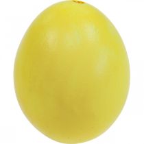 položky Veľkonočné vajíčka Žlté vyfúknuté vajíčka Kuracie vajíčko 5,5cm 10ks