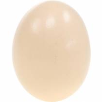 položky Krém z kuracieho vajca Veľkonočná dekorácia Vyfúknuté vajíčka 10ks