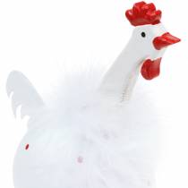 položky Kuracie biele s bodkami 21 cm