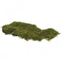 položky Indický mach lesný mach zelený prírodný 2kg