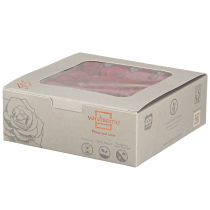 položky Infinity Roses Real Flowers Mini ružové hlávky červené Ø3cm 16 ks