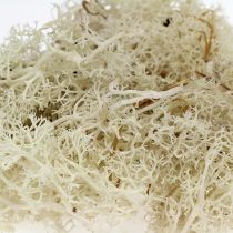 položky Moss Islandský mach bielený 400g