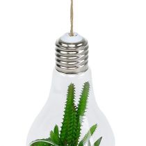 položky Kaktusy v pohári na zavesenie 21cm