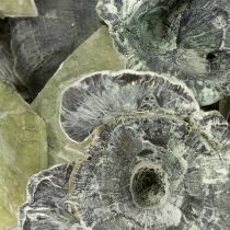 položky Kalix huby zelené, biele 100 ks