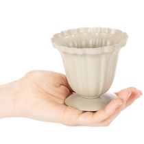 položky Dekoratívna miska, krémová trofej, malá, 10 cm