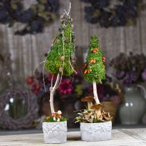 položky Kvetináče so žaluďmi a listami, keramický kvetináč zelený, biely, sivý Ø17cm V9,5cm sada 3 ks