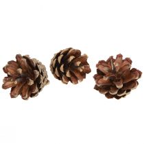 položky Šišky dekoračné Šišky prírodné 4-5cm 250g