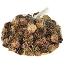Článok Dekorácia z prírodných šišiek v sieťke 2,5-3,5 cm 300 g