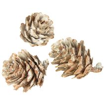 Článok Bielené šišky, dekorácia z malých šišiek v sieťke, 2,5-3,5 cm, 500 g