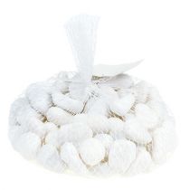 položky Kamienky do siete Biele 2,5cm - 4cm 1kg