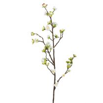 položky Vetva čerešňového kvetu biela 95cm