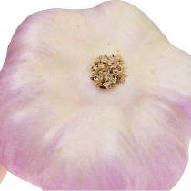 položky Umelá zeleninová dekorácia cesnak ružová, biela Ø6,5cm 2 ks