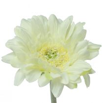 položky Umelé kvety Gerbera biela 45cm