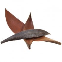 položky Kokosové škrupiny kokosové listy prírodné sušené 22cm - 42cm 25ks