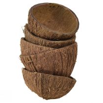 Kokosová miska dekorácia prírodné pol kokosky Ø7-9cm 5ks