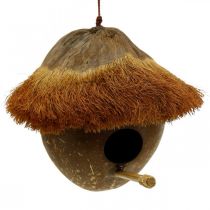 položky Kokos ako hniezdna búdka, závesný domček pre vtáčiky, kokosová dekorácia Ø16cm L46cm