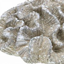 položky Námorná dekorácia koralová béžová biela umelý polyresin 23x20cm