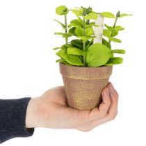 položky Umelý kvetináč s ozdobnými bylinkami do kuchyne, záhrady, na balkón alebo terasu, 15 m³, 3 kusy