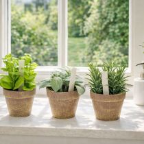 položky Umelý kvetináč s ozdobnými bylinkami do kuchyne, záhrady, na balkón alebo terasu, 15 m³, 3 kusy