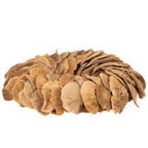 položky Veniec z húb, prírodná farba, na dekoráciu dverí alebo steny, 37 cm