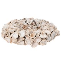 položky Veniec s lotosovým kvetom, prírodná dekorácia, sušené kvety, 35 cm