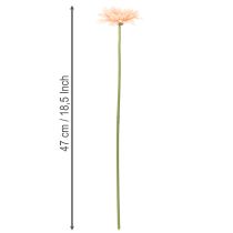 položky Umelé kvety gerbery marhuľové 47 cm 6 ks