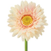 položky Umelé kvety Gerbera Marhuľa 47cm