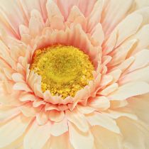 položky Umelé kvety Gerbera Marhuľa 47cm